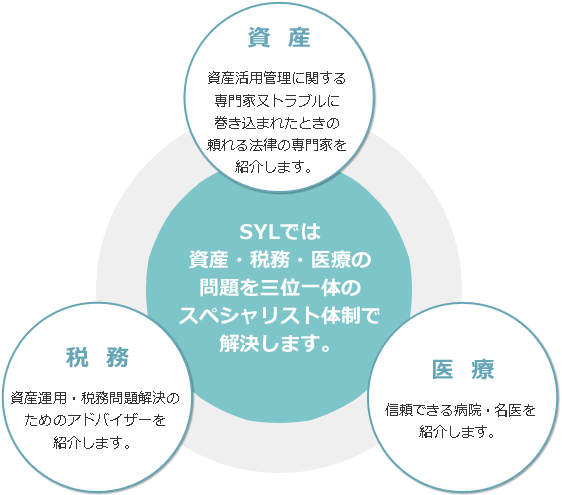 SYLの仕組みとその流れ